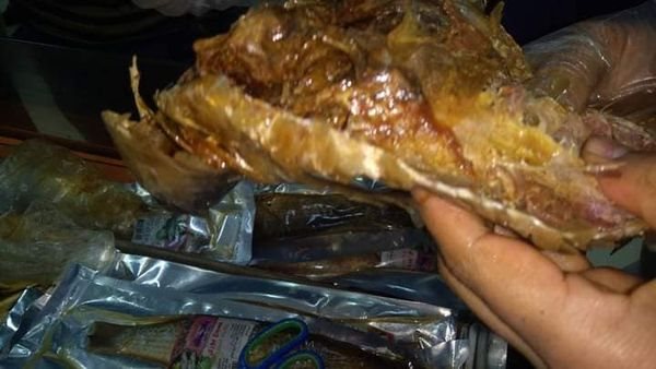 ضبط رنجة واسماك بمطروح