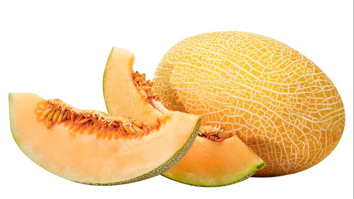 الشمام