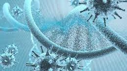 الفيروسات المعوية