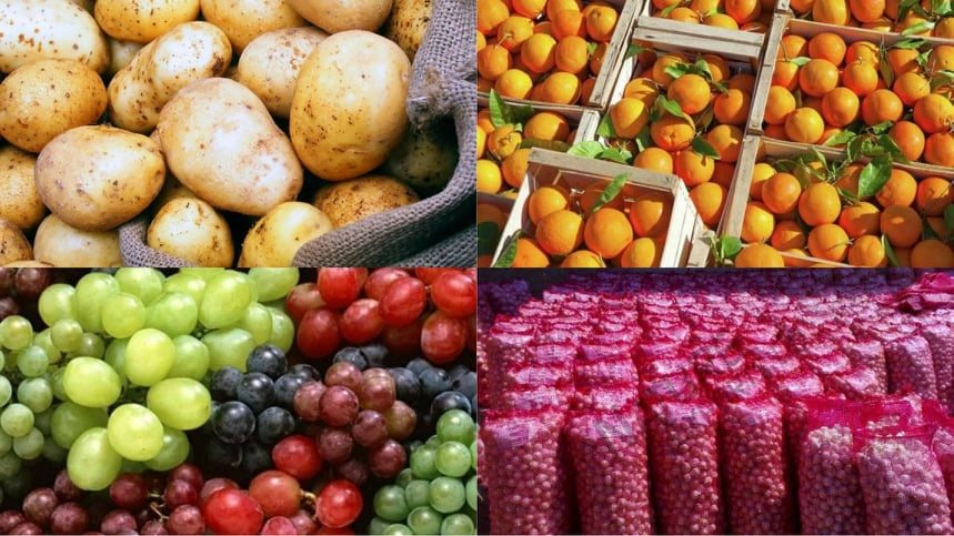 الصادرات الزراعية المصرية