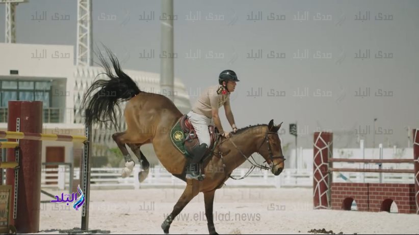  الفروسية 