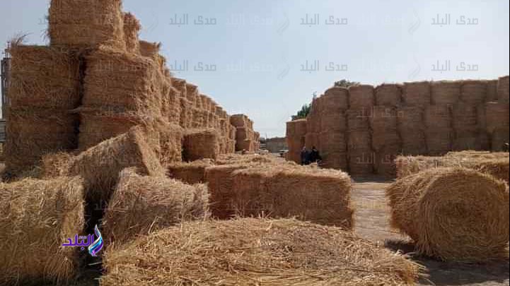 مركز تجميع قش الأرز
