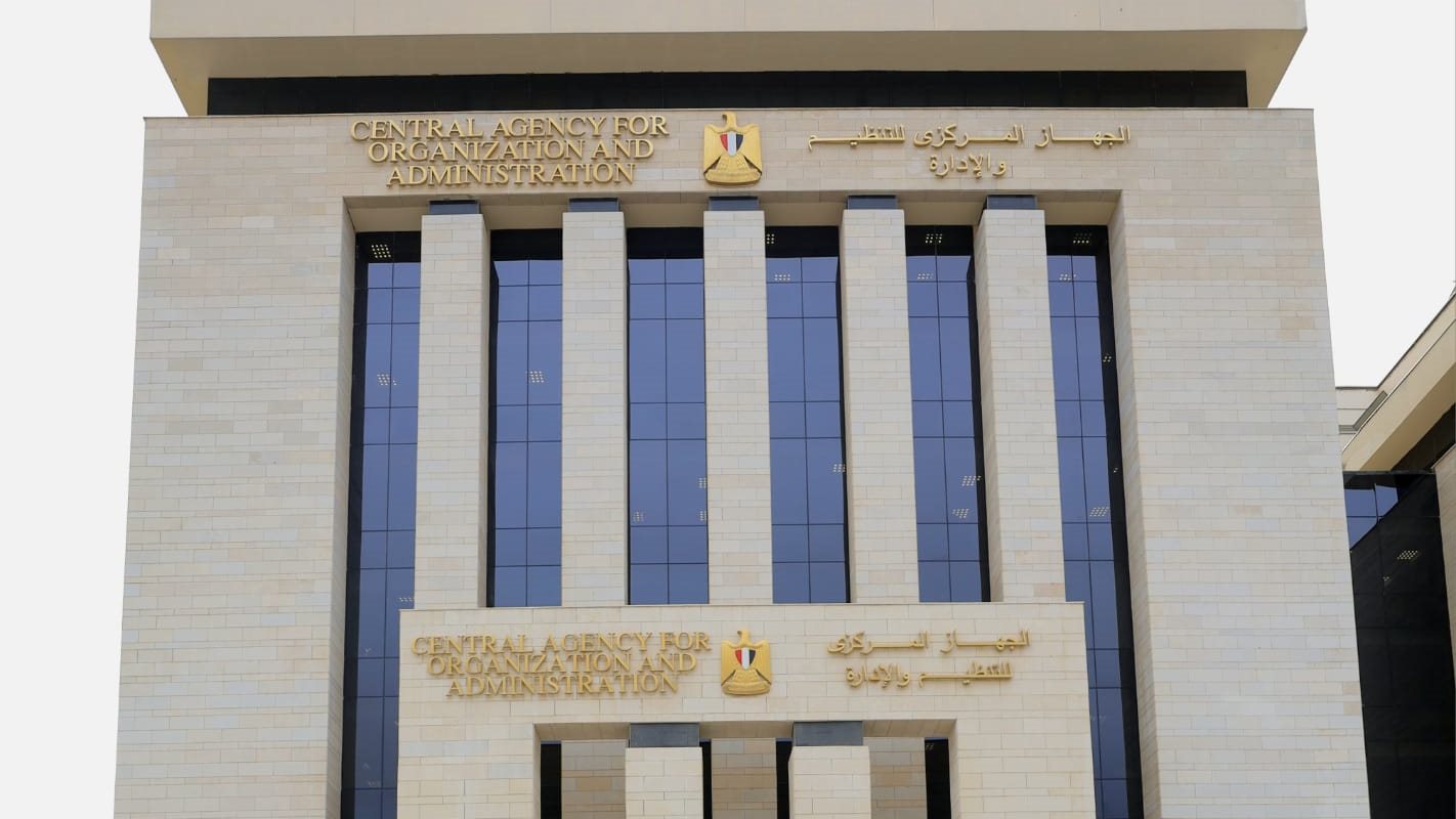 التنظيم والإدارة 