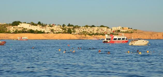 شبه جزيرة سيناء - صورة أرشيفية