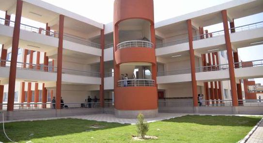 المدارس اليابانية المصرية