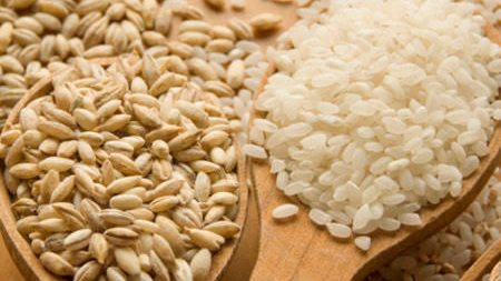 حكم تأخير زكاة الفطر لتوزيعها حبوبا على مدار السنة؟