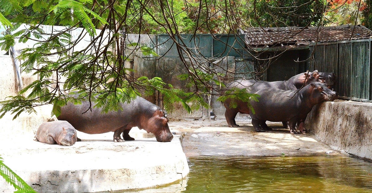 حديقة الحيوان