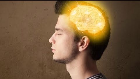 وظائف الدماغ