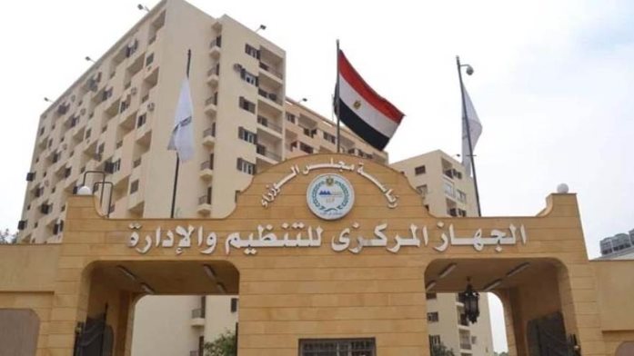 التنظيم والإدارة