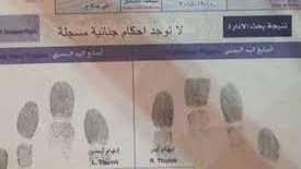 فيش وتشبيه