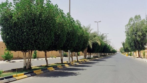 التشجير