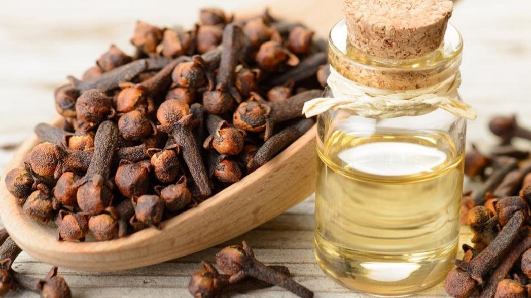القرنفل علاج وفائدة لجسم النساء والاطفال