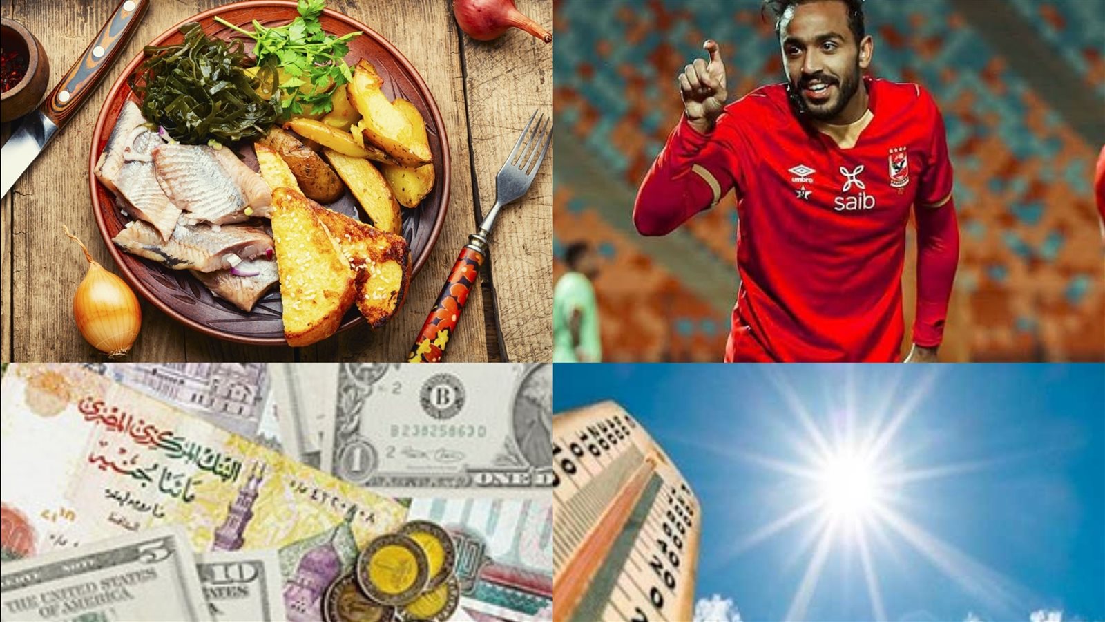 أخبار التوك شو 