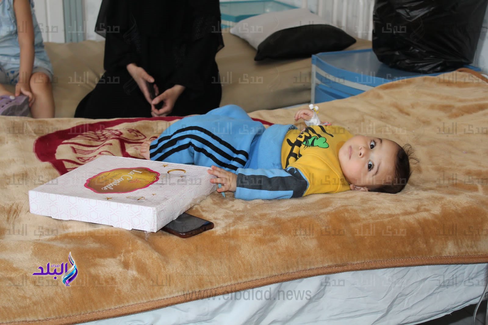 أسرة طلاب من أجل مصر7