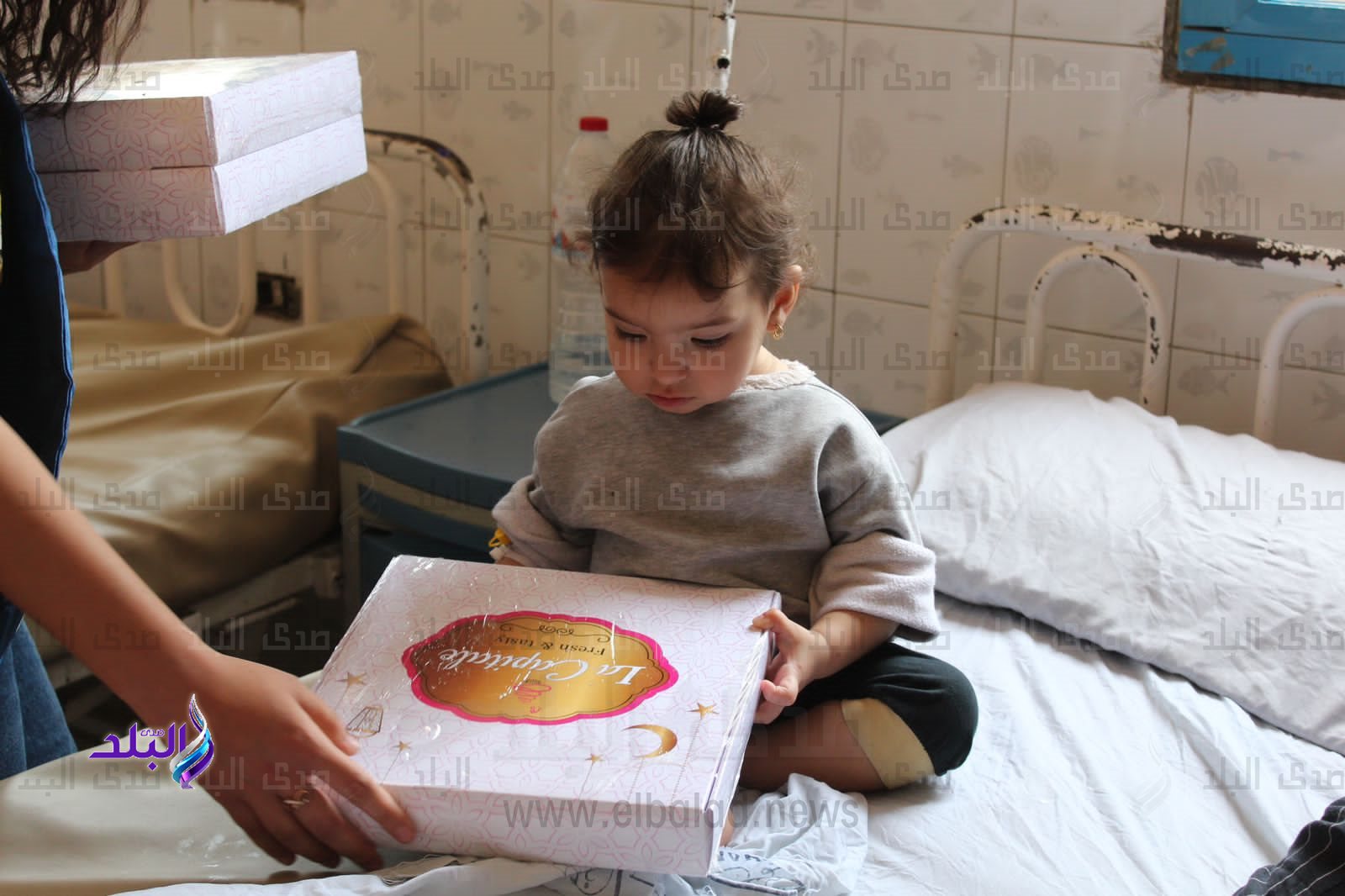 أسرة طلاب من أجل مصر6