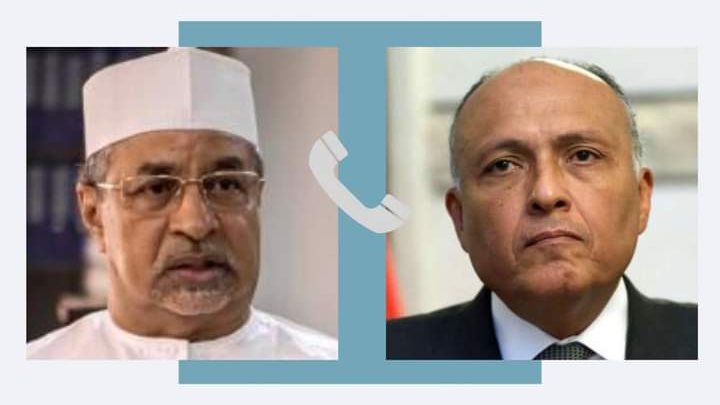 وزيرا خارجية مصر وتشاد 