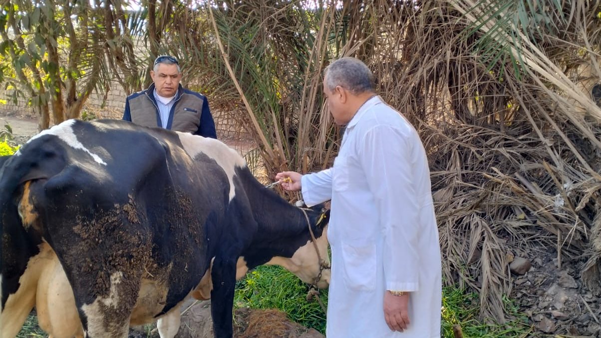 حملات بيطرية بالغربية