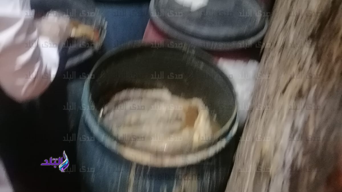 فسيخ فاسد بالأقصر 