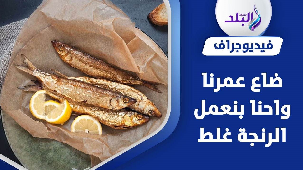 نصائح تناول الرنجة والفسيخ في العيد 