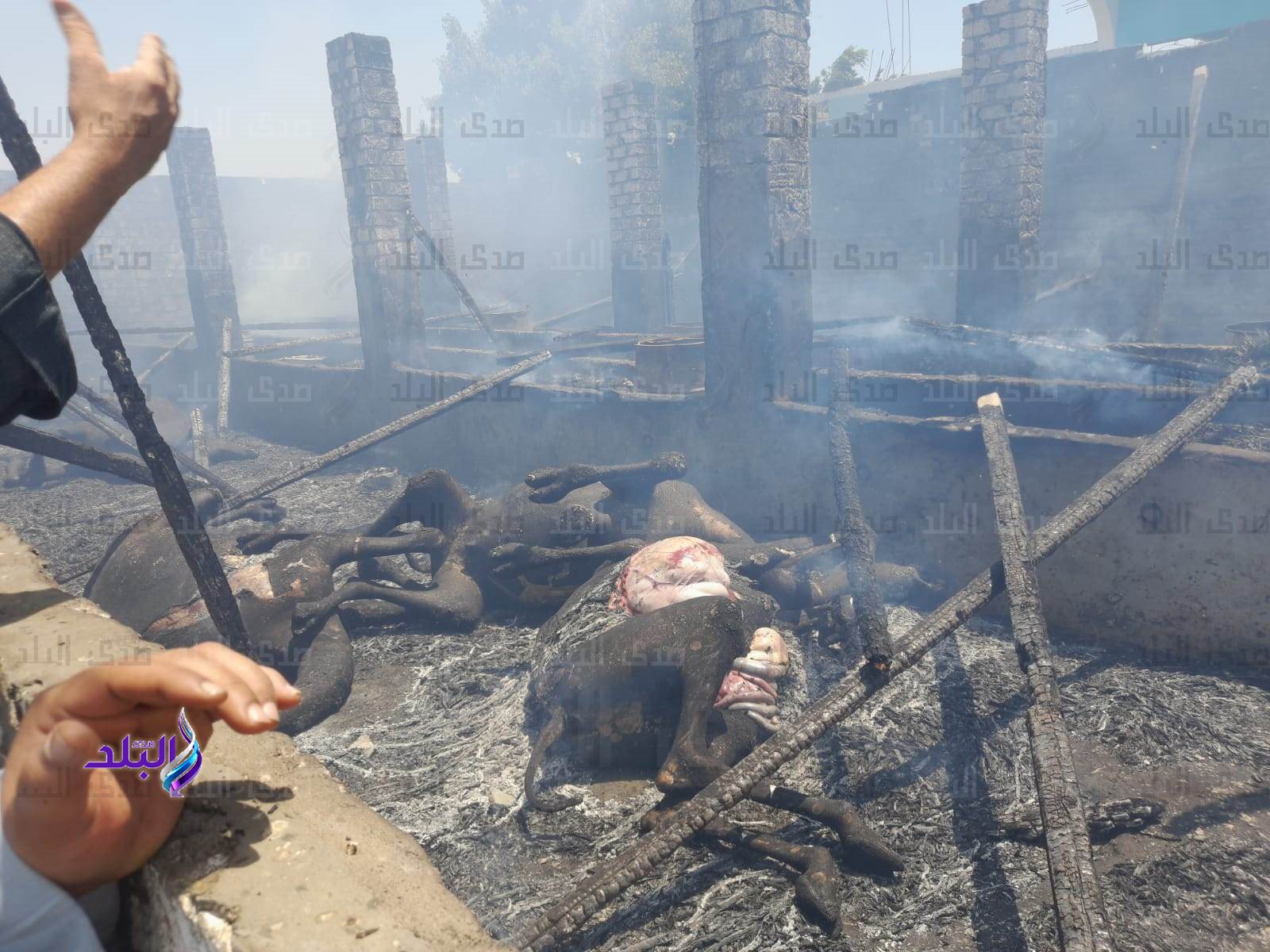 received_1370140610447597