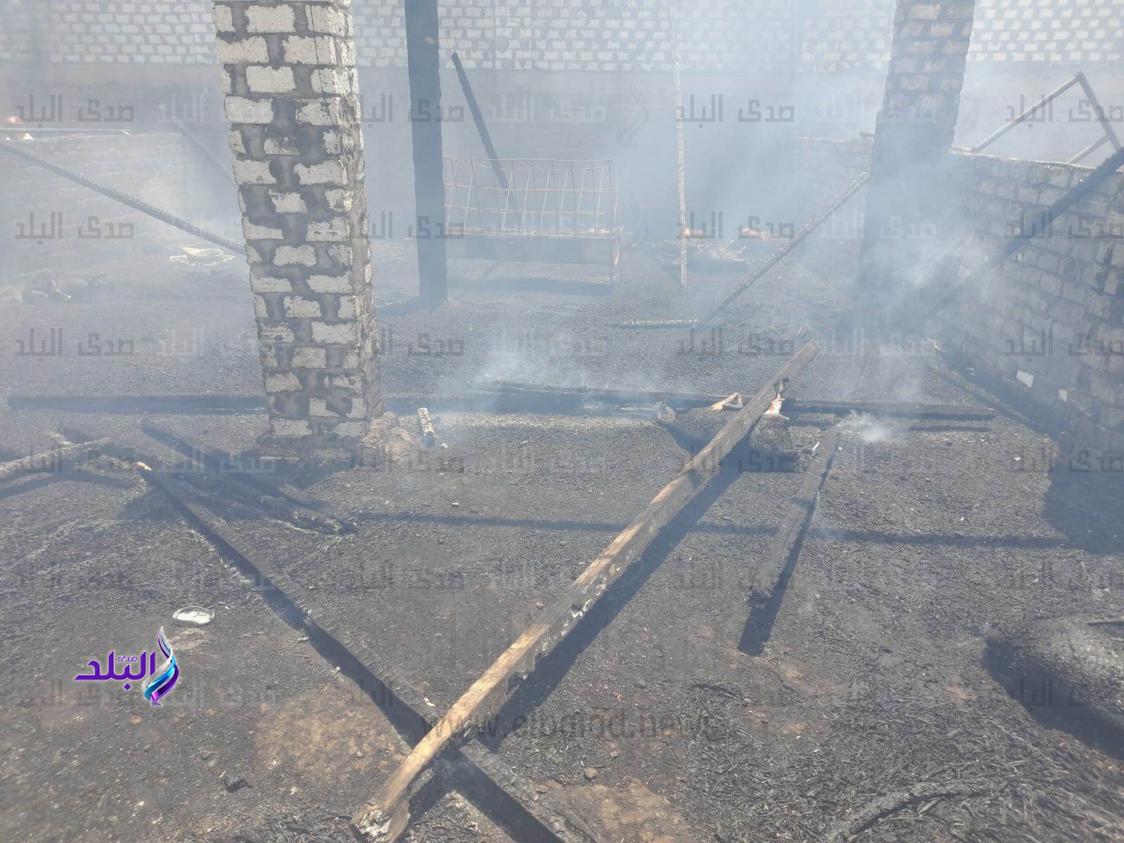 received_185828710998852