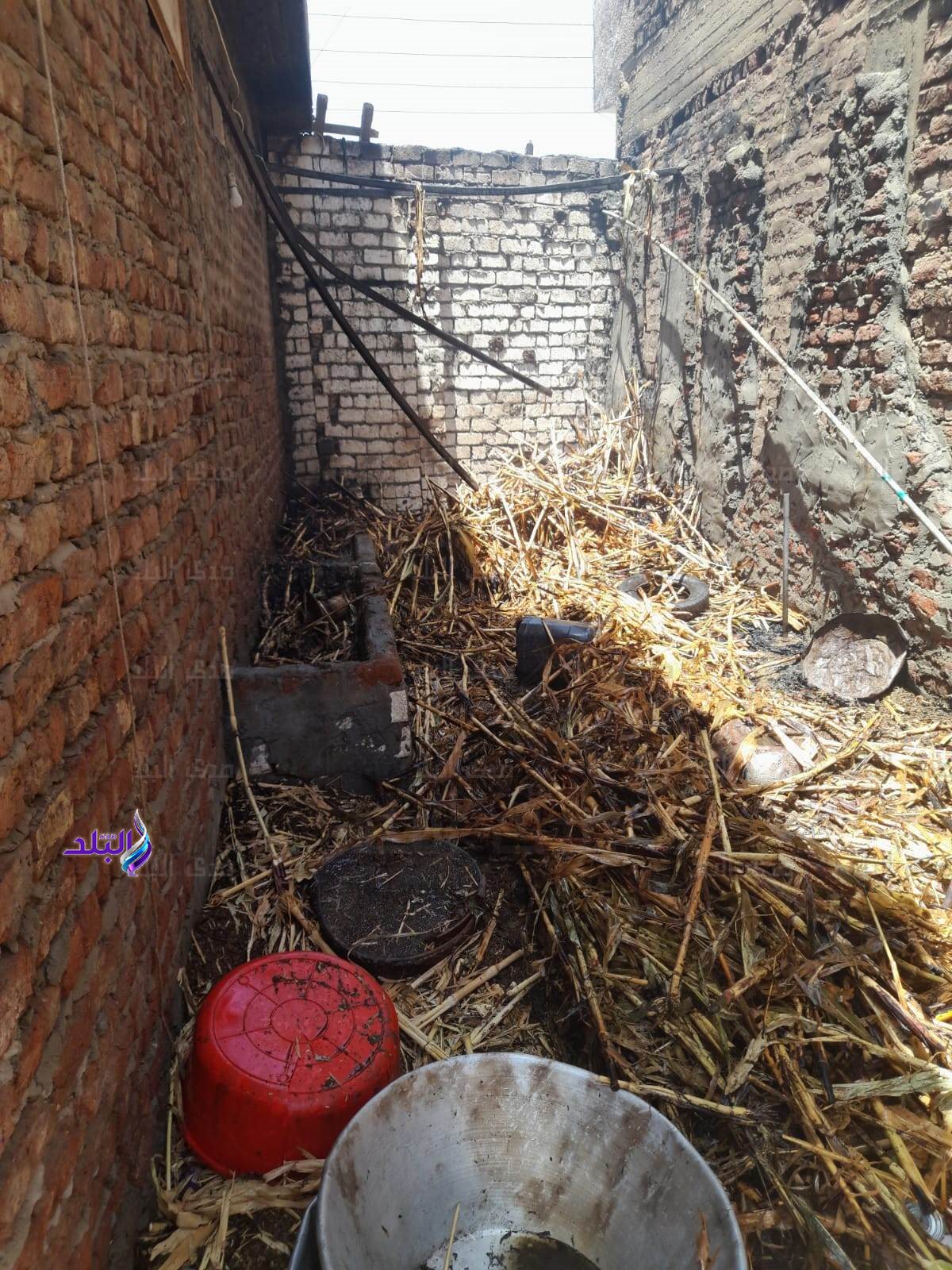 received_773636767494847