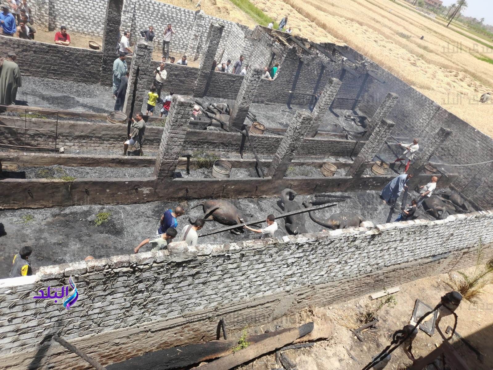 received_195891343268768