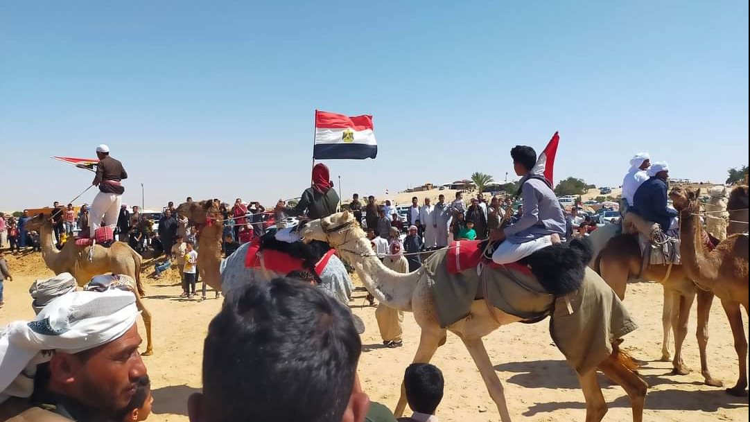 استعراض الإبل أمام المنصة الرئيسية لسباق الهجن  استعراض الإبل أمام المنصة الرئيسية لسباق الهجن