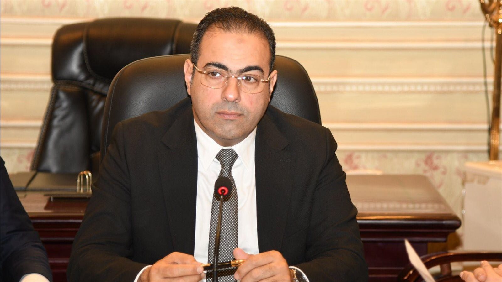 النائب الدكتور محمود حسين