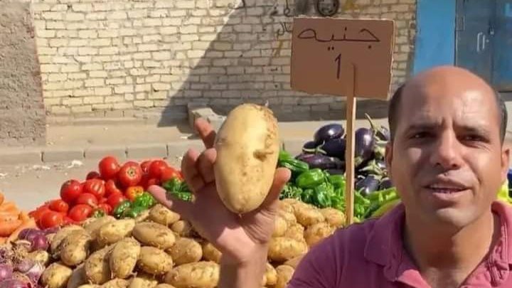 مبادرة كيلو الخضار بجنيه في السويس.. إيه القصة؟