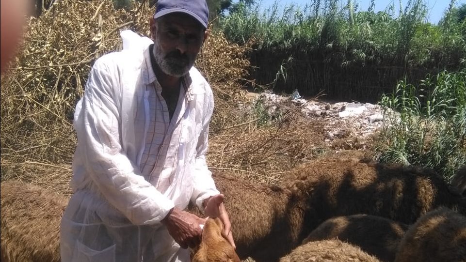 الوحدة المحلية بالبحيرة