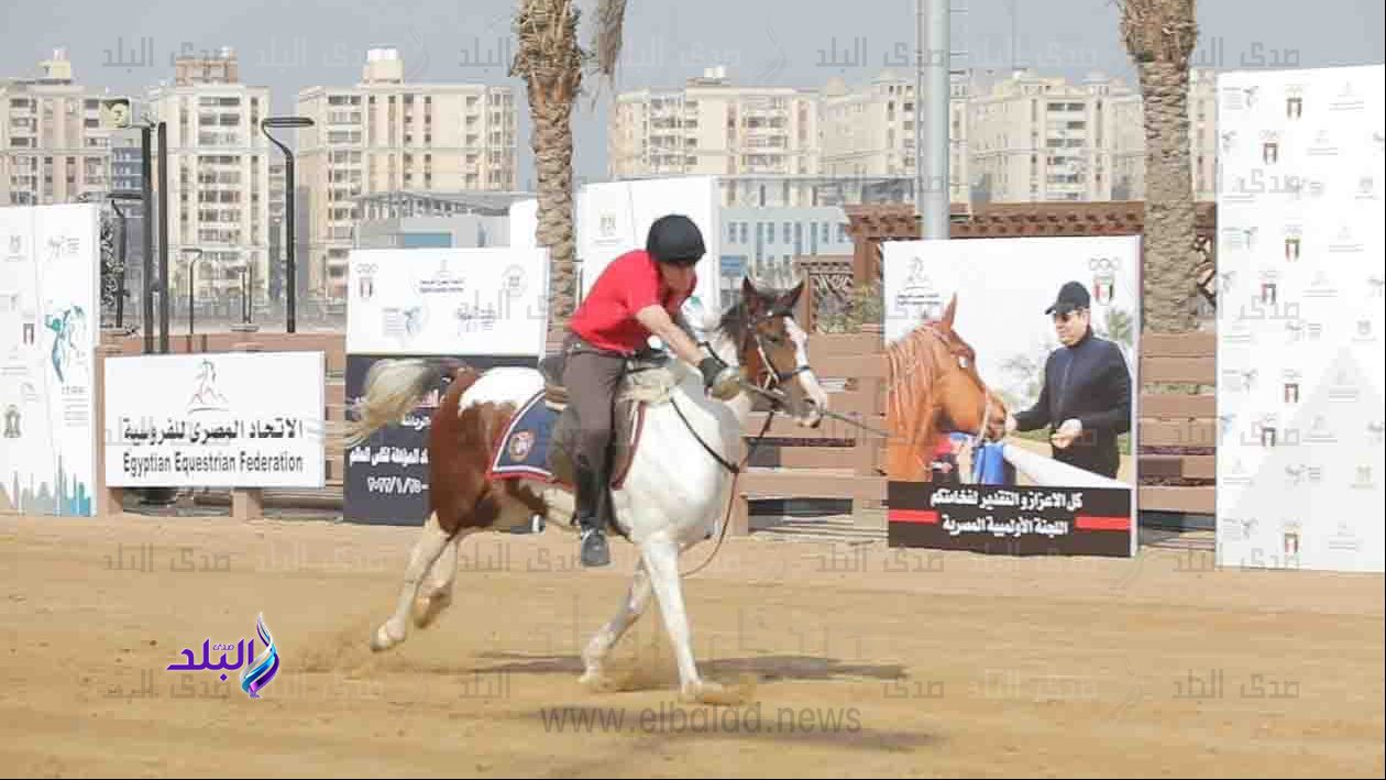 بطولة الفروسية