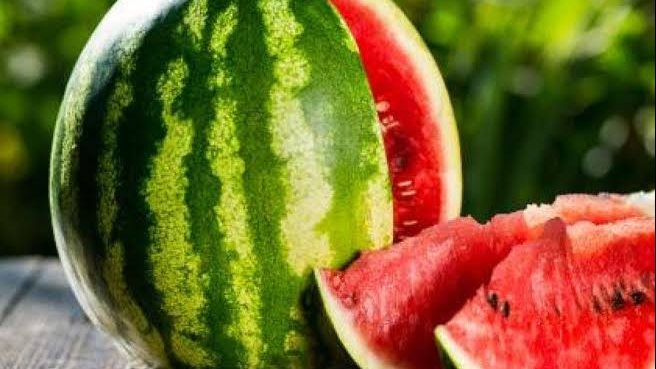 نشرة المرأة والصحة