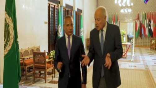 الأمين العام لجامعة الدول العربية أحمد أبو الغيط  الأمين العام لجامعة الدول العربية أحمد أبو الغيط