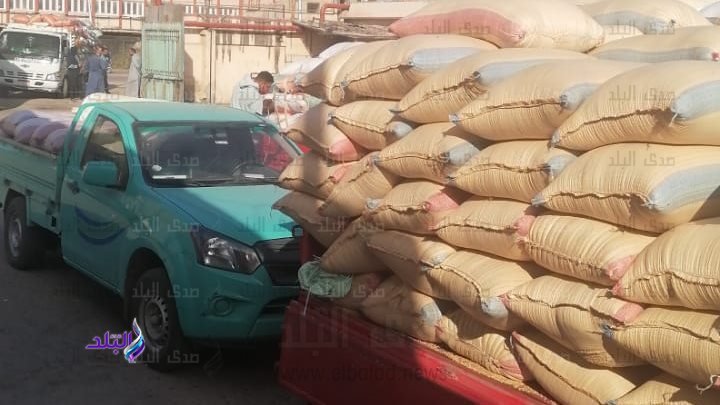 توريد القمح المحلي