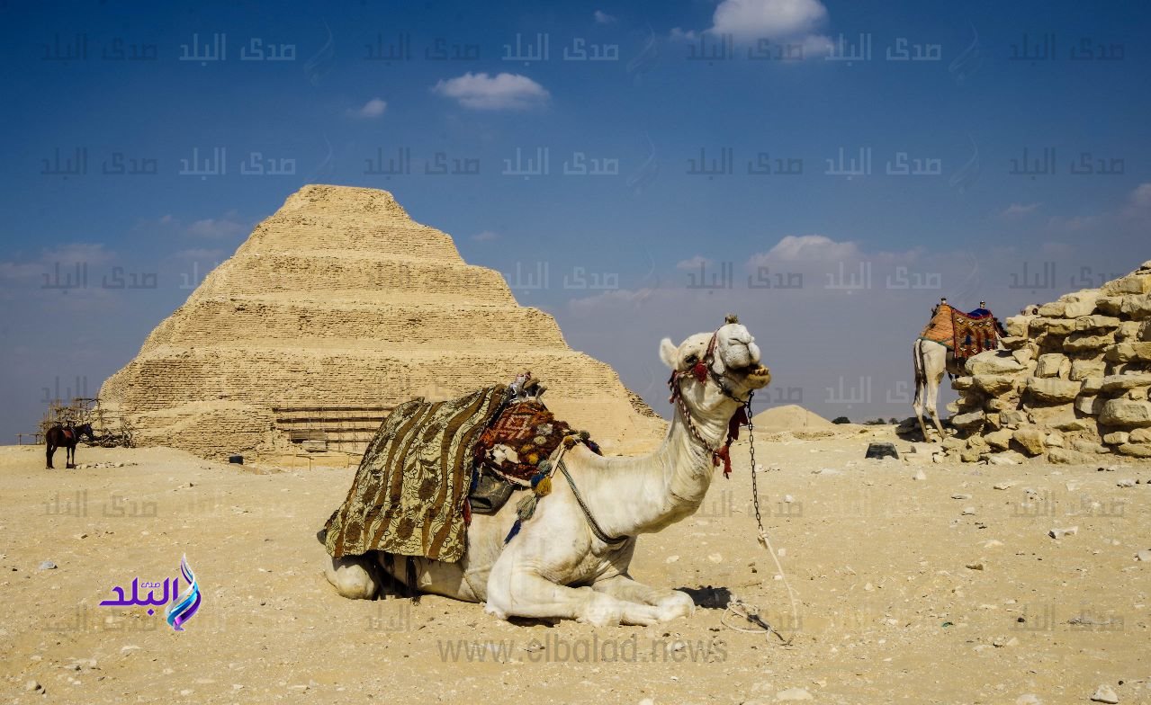 هرم سقارة 