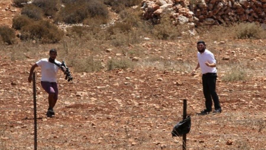 إسرائيليون يهاجمون الرعاة الفلسطينيون ويقتلون ويسرقون أغناما