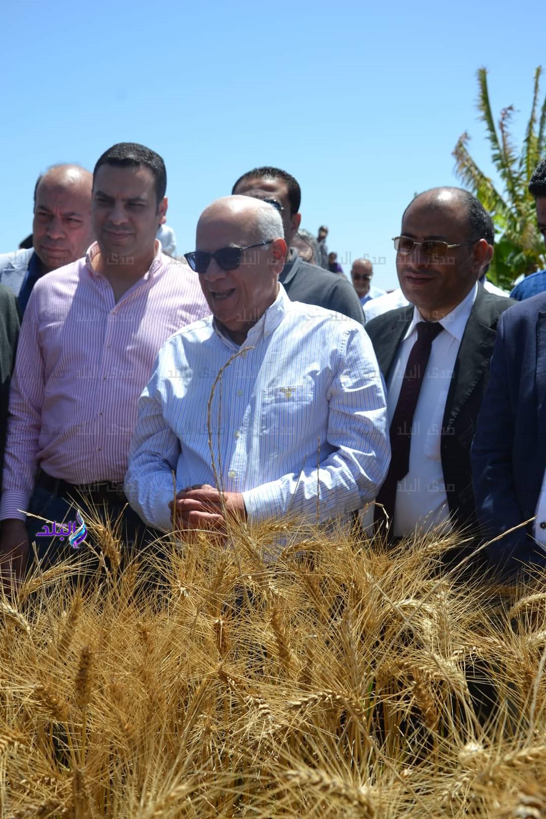 FB_IMG_1683201518997