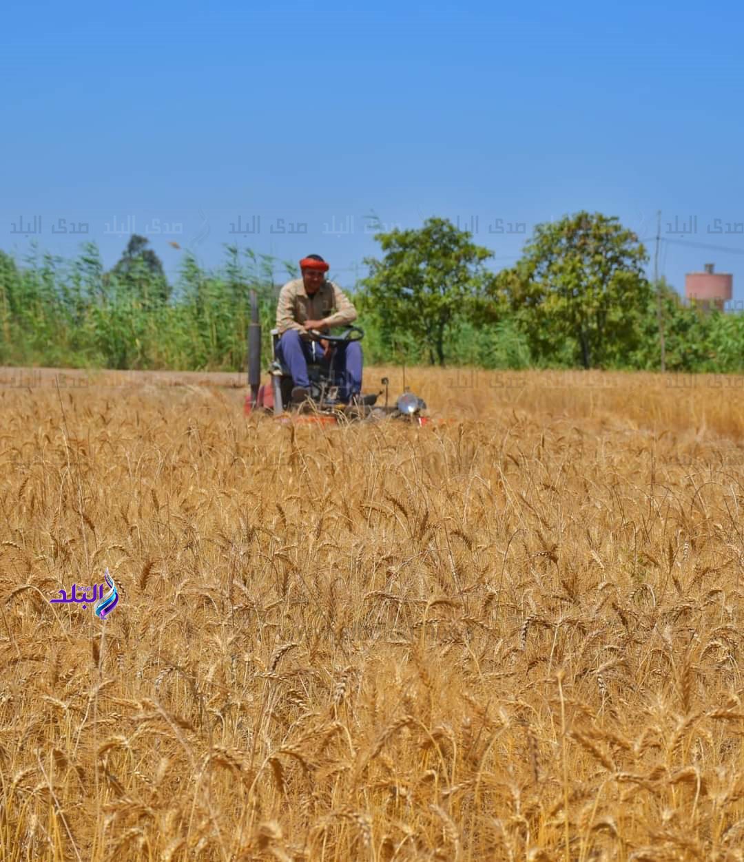 FB_IMG_1683201529461