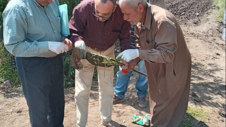 صورة من الحدث