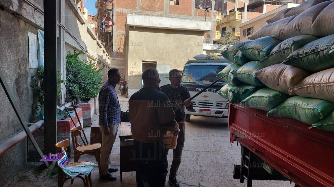 توريد القمح بالغربية 