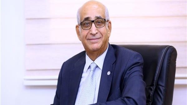 النائب حسانين توفيق، عضو مجلس الشيوخ