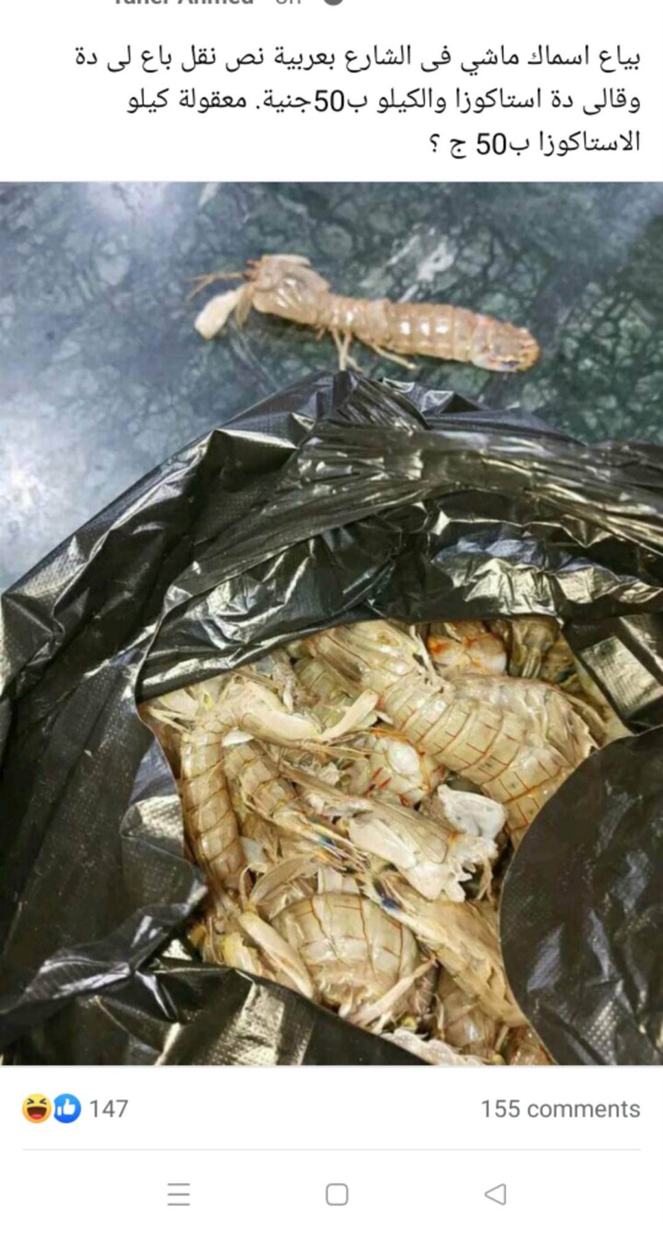 استاكوزا غريبة 