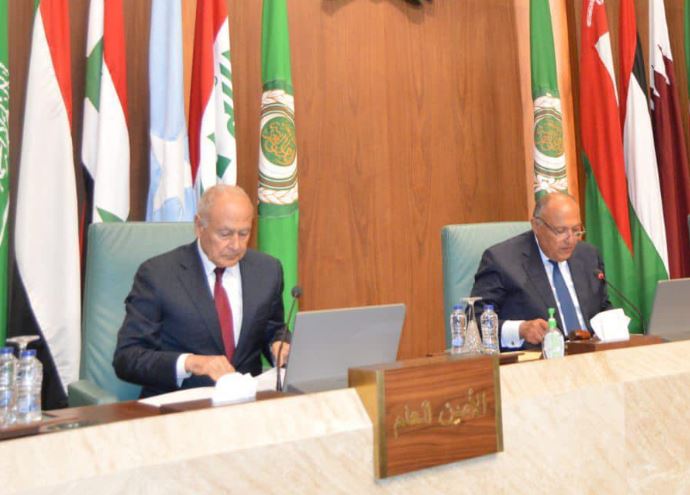 سامح شكرى وأحمد أبو الغيط
