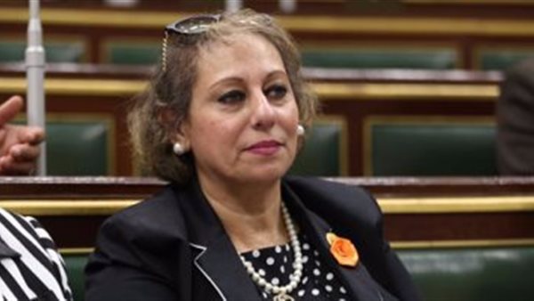 النائبة ميرفت الكسان ، عضو لجنة الخطة والموازنة بالبرلمان