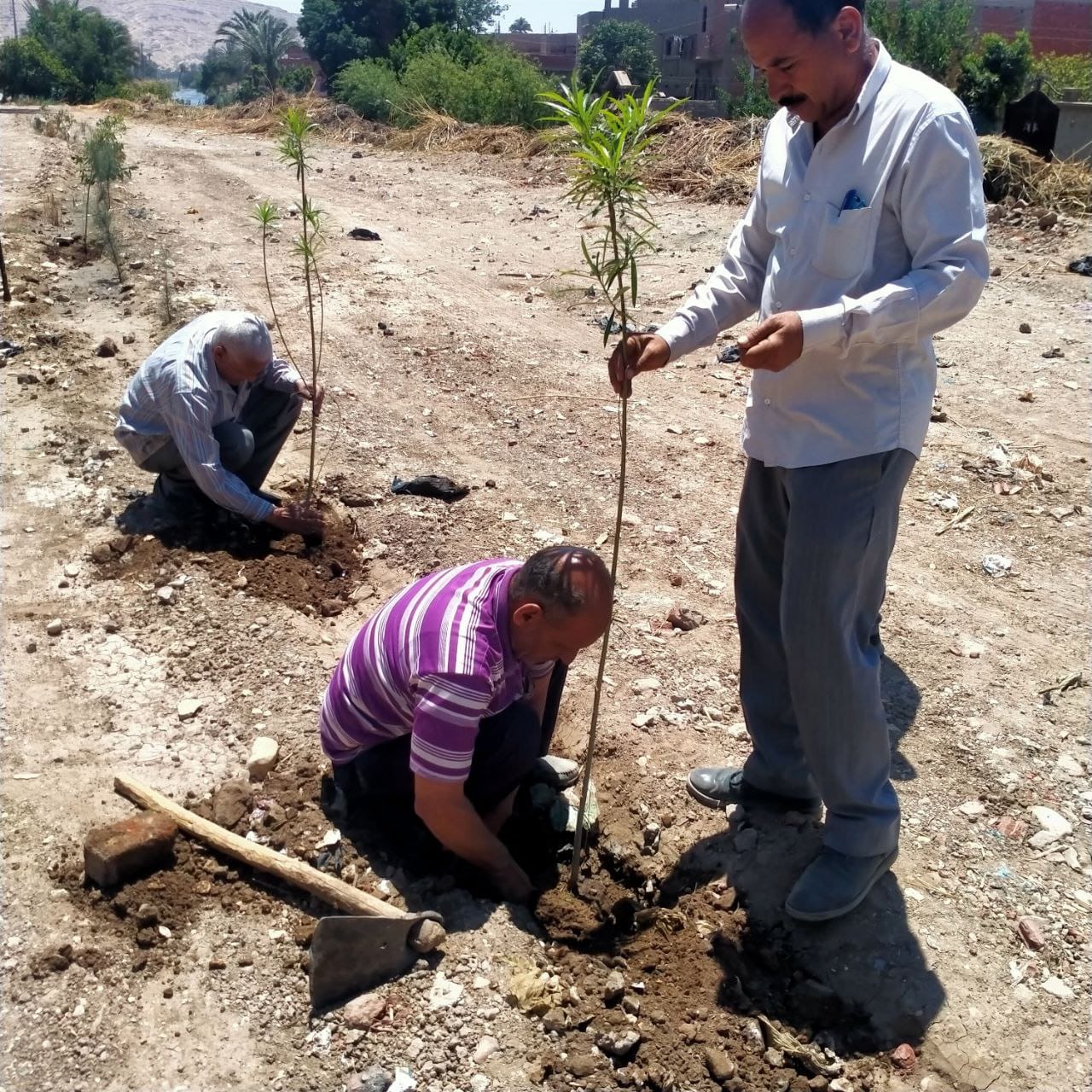 مبادرة ١٠٠ مليون شجرة 