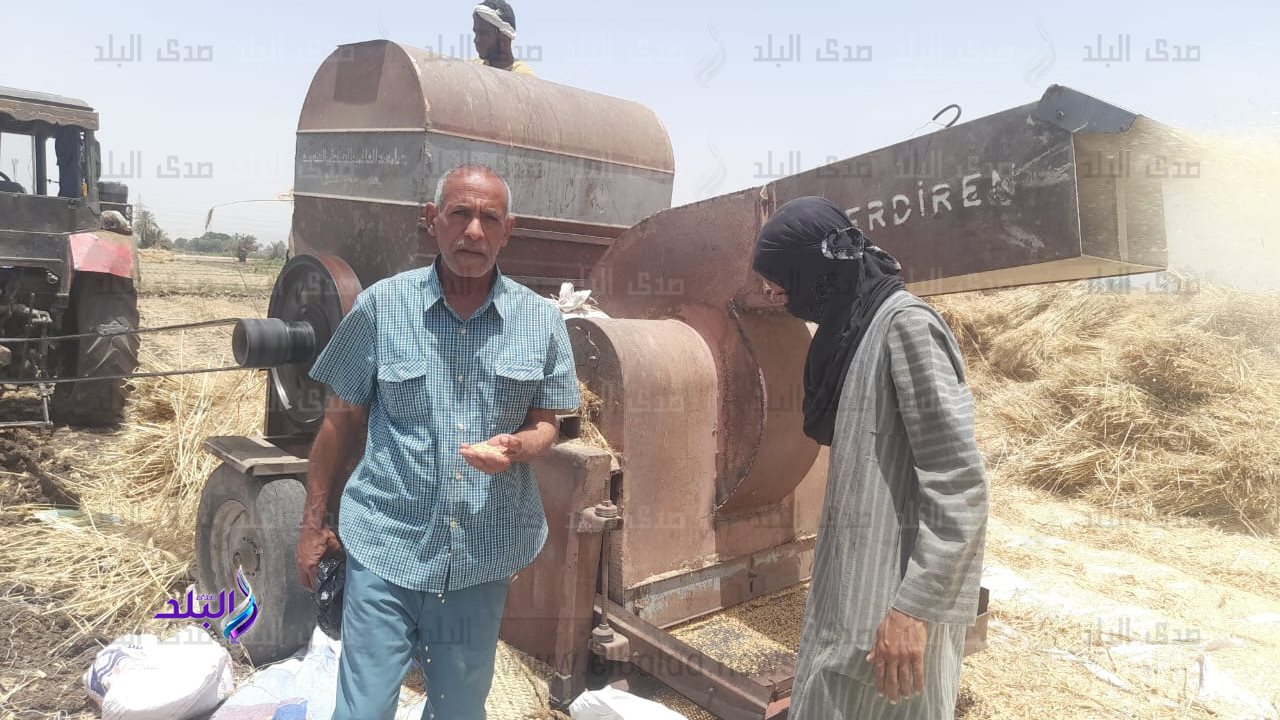 احتفالية حصاد القمح لمشروع تعزيز المرونة المناخية والأمن الغ