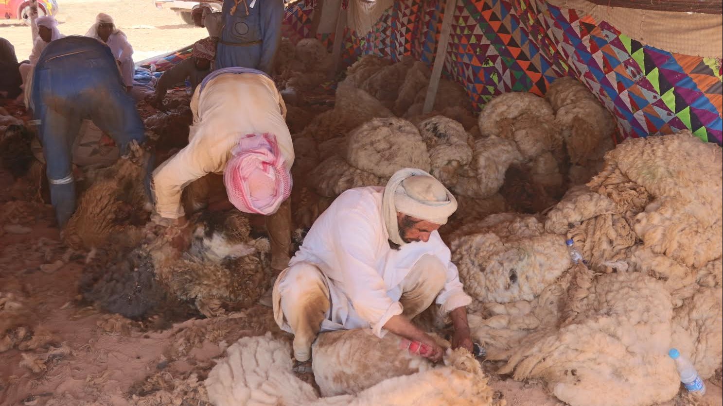 الجلامة بمطروح