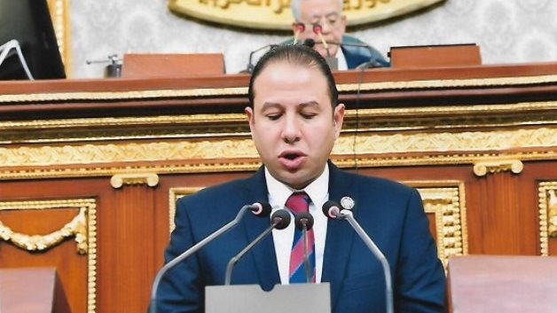  حسن عمار - عضو مجلس النواب