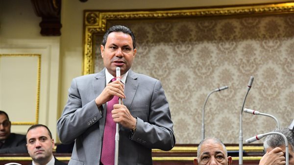  النائب هشام الحصرى رئيس لجنة الزراعة 